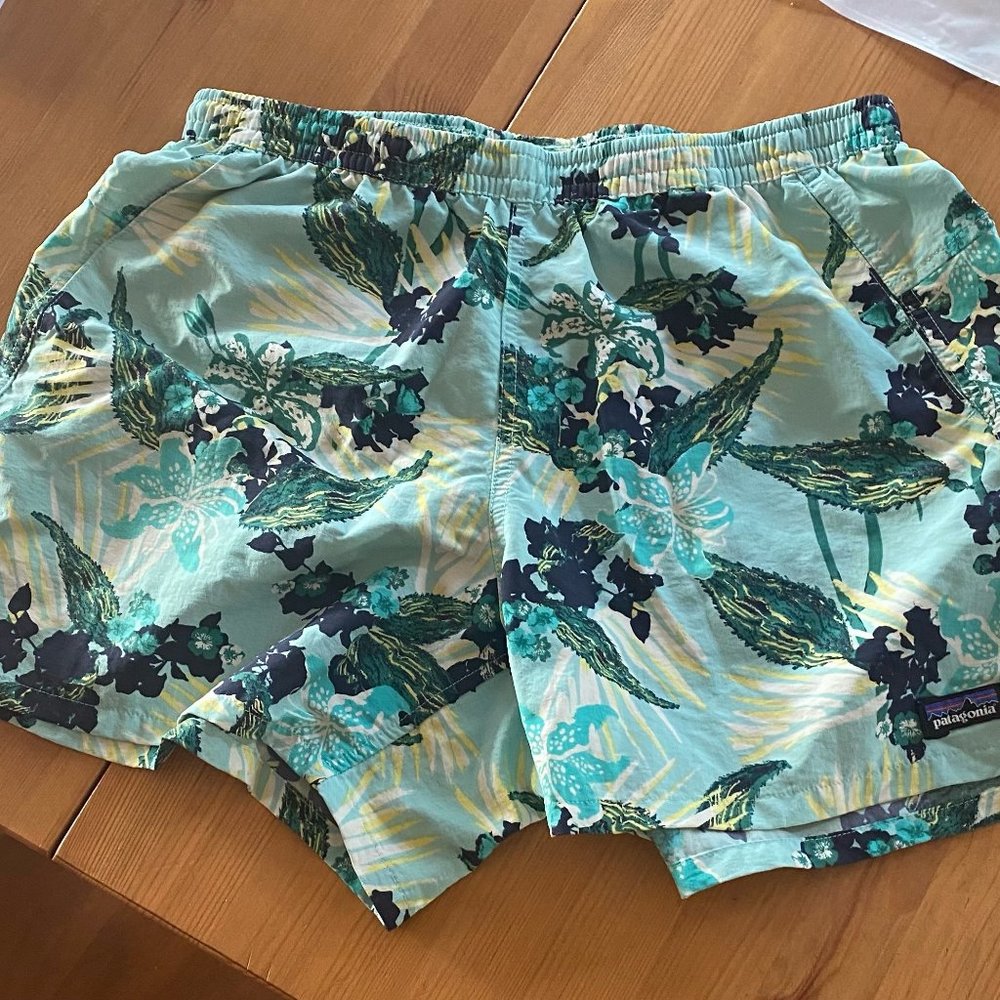 Patagonia Baggies